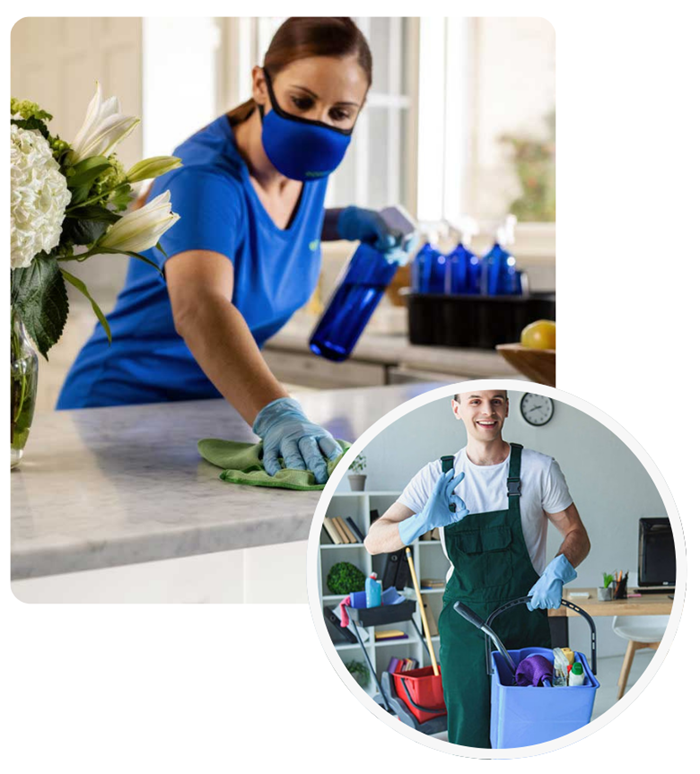 professional cleaning services